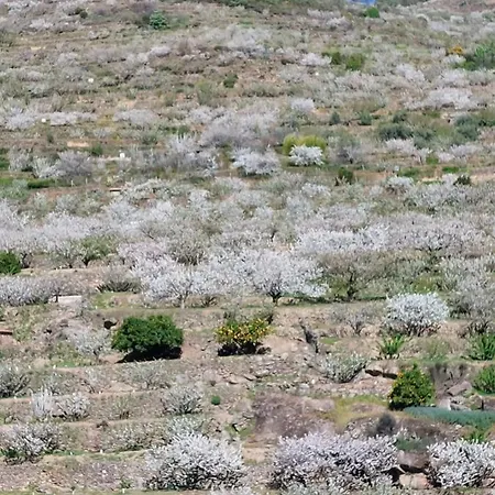 Apartman Con Encanto Cabezuela del Valle