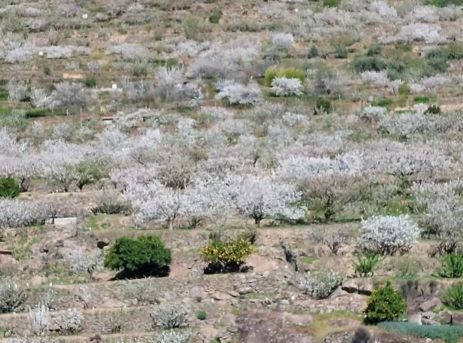 Apartamento Con Encanto Cabezuela Del Valle